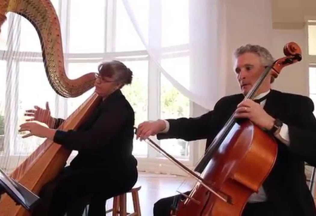 Tuinconcerten op de Wallen: harp & cello duo 3